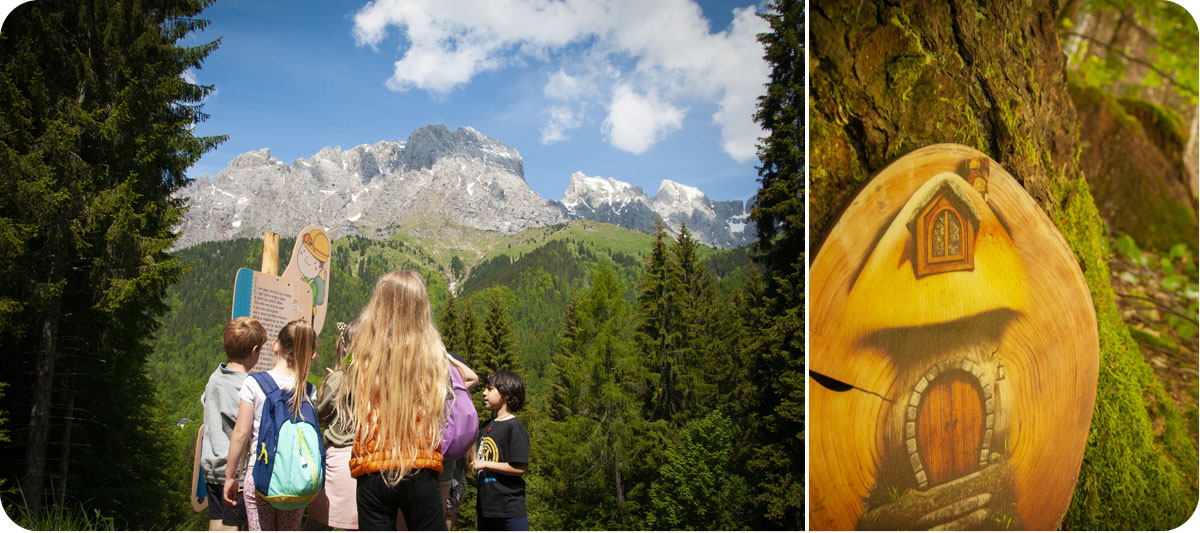 parco tematico e percorso didattico nel bosco legno