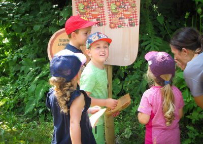 percorso nel bosco, crea parchi, percorso didattico, gnomi del bosco, giocabosco, Tarvisio, Udine.